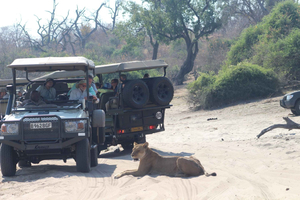 7-päiväinen Livingstone Classic Safari Tour: Khwai, Savuti & Chobe