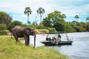 From Livingstone: Chobe National Park Game Drive