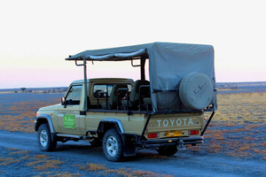 From Maun: 3-Day Moremi Game Reserve Safari Tour
