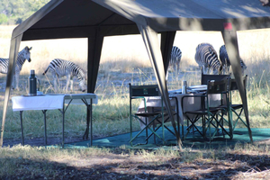 Ab Maun: Moremi Game Reserve Tour