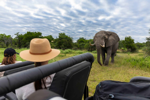 Moremi Game Reserve Delta Day Trip