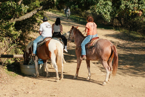 Passeio a cavalo em Okavango + refeições e bebidas