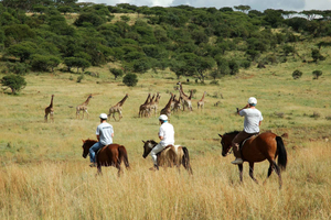 Botsuana: Passeio Panorâmico a Cavalo até o Rio Thamalakane