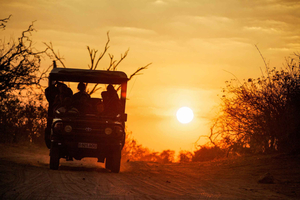 Chutes Victoria : safari de 2 jours dans le parc national de Chobe