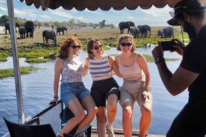 Chutes Victoria : Excursion d'une journée à Chobe et Quadripoint avec déjeuner