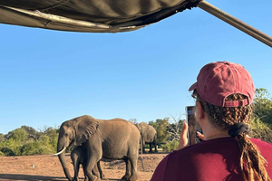 Chutes Victoria : safari au parc national de Chobe et dîner-spectacle