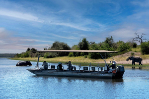 Victoria Falls/Kasane: Chobe National Park Day Trip