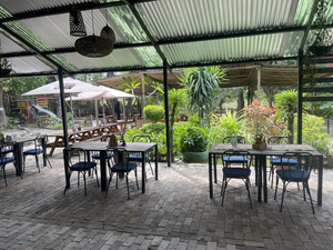 Bull & Bush Maun