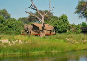 Camp Savuti