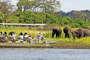 Discover Botswana's Wildlife Wonderland: Seasonal Experiences You Can't Miss