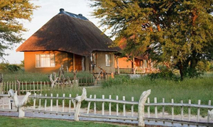Top 7 lodges om de San-cultuur te ervaren