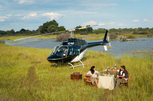 Helicopter Horizons