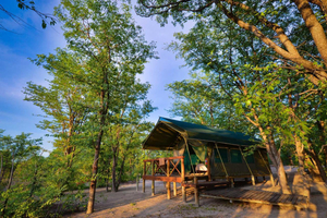 Mankwe Bush Lodge & campsite