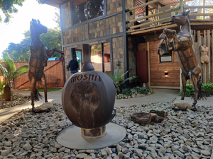 Mosha Wellness Spa