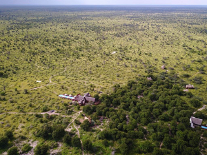 The Lodge at Feline Fields
