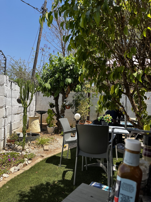 The Patio Cafe & Deli