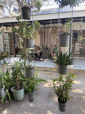 Tribal Roots Spa