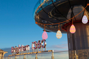 Brighton i360 Easter Bunny Breakfast and Disco Flight