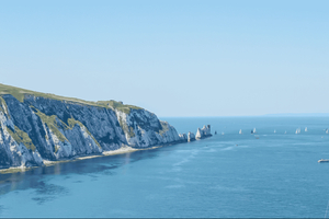 From Brighton: Isle of Wight Full-Day Trip via Portsmouth