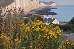 Seven Sisters i Brighton – prywatna wycieczka 1-dniowa z Londynu