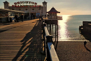 London: Seven Sisters Cliffs & Brighton Private Day Trip