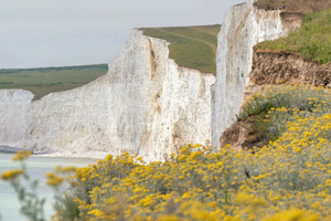 Seven Sisters Cliffs -opastettu vaellus kuljetuksilla