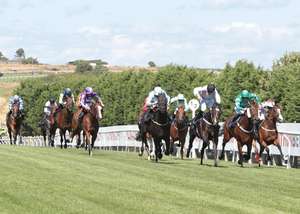 Brighton Racecourse