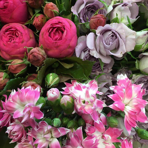 Top Blomsterhandler