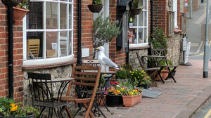 Open Art Cafe