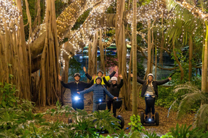 2,5 horas em Brisbane: passeios turísticos - manhã e noite