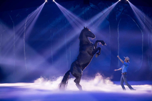 Gold Coast: Australian Outback Spectacular Dinner & Show