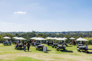 Moreton Bay Weingut & Brauerei-Tour mit Mittagessen