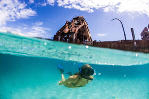 Moreton Eiland: Dagtrip Tangalooma met snorkeltour