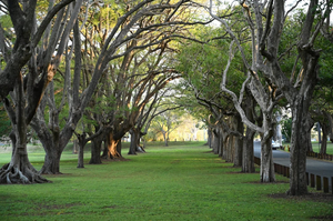 Colmslie Beach Reserve
