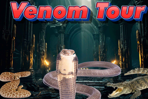 Bristol: Venomous Snake Tour w/ Guide & Croc Photo