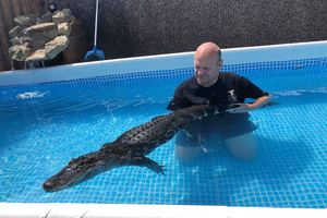 Swimming with Crocodiles coffee and cake