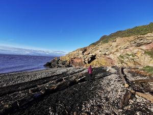 Charlcombe Bay Beach