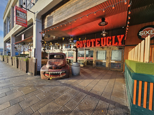 Coyote Ugly Bristol