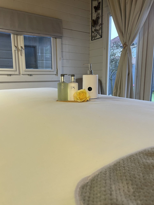 Napa wellness & massage Bristol