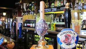 Ostrich Inn
