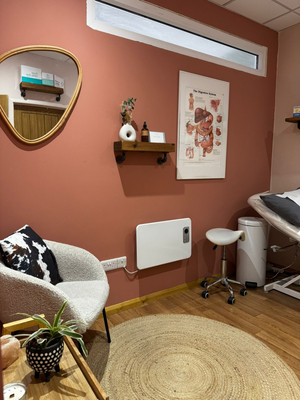 The Wellness Collective Bristol