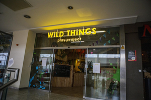 Wild Things Play Project Bristol