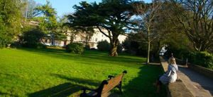 Clifton.