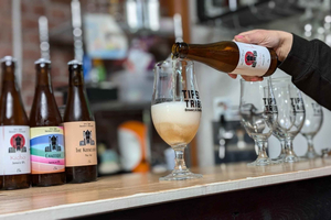 beer tasting workshop in a micro brewery