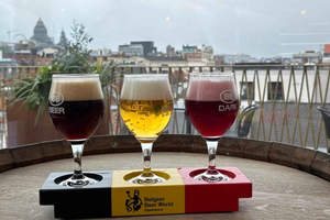Brussels: Rooftop Ticket with Belgian Beer Tasting