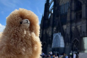 Dagsutflykt Aachen & Köln från Bryssel
