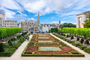 Enchanting Brussels Private Tour: History & Culture Unveiled