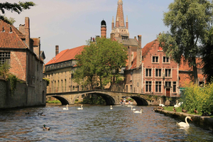 From Brussels - Day trip to Damme, Bruges and Leuven