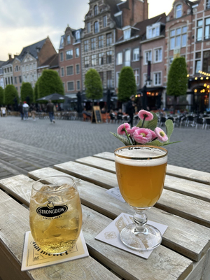 Bar Louvain