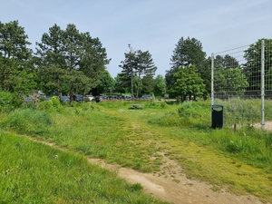 Beach volleyball courts Provinciedomein